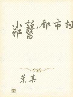 小说,都市极品邪医