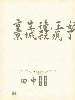 重生后,王妃在京城杀疯了完结篇封面