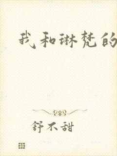 我和琳梵的故事