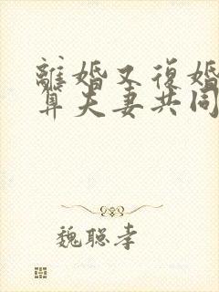 离婚又复婚财产算夫妻共同财产吗?