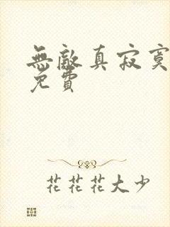 无敌真寂寞小说免费