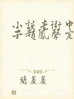 小说老街中的痞子赵凤声完全版