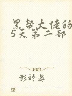 黑帮大佬的365天第二部