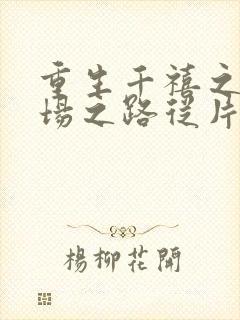 重生千禧之年官场之路从片警开始封面