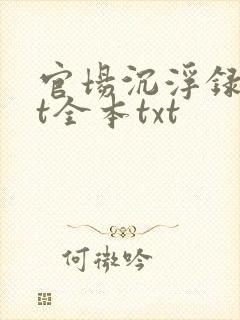 官场沉浮录txt全本txt封面