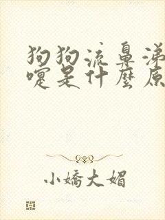 狗狗流鼻涕打喷嚏是什么原因封面