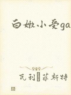 白嫩小受gay
