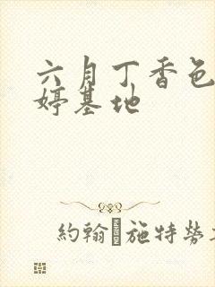 六月丁香色婷婷婷基地封面