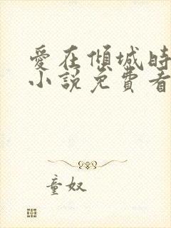 爱在倾城时光里小说免费看封面