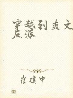 穿越到爽文里当反派