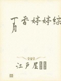 丁香婷婷综合六月