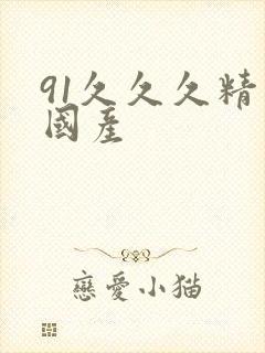 91久久久精品国产