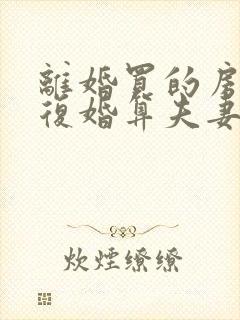 离婚买的房子又复婚算夫妻共同财产吗