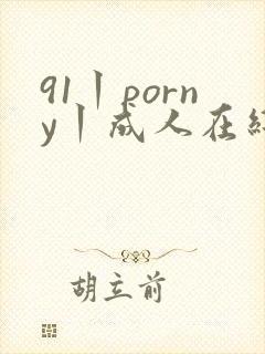 91丨porny丨成人在线观看
