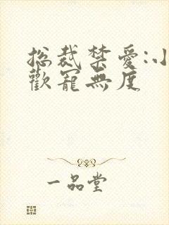 总裁禁爱:小妻欢宠无度