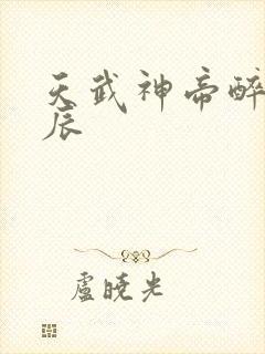 天武神帝醉梦星辰