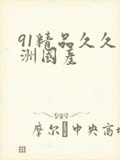 91精品久久亚洲国产