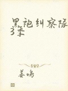 黑袍纠察队 第3季