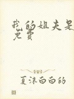 我的姐夫是太子免费封面