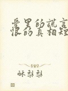 爱里的谎言,仇恨的真相短剧1