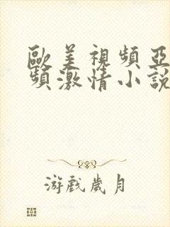 欧美视频亚洲视频激情小说