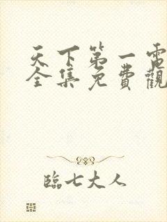 天下第一电视剧全集免费观看高清