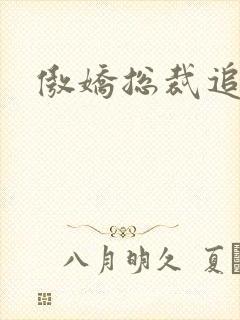 傲娇总裁追妻忙