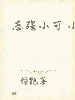 志强小可 小说