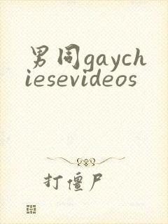 男同gaychiesevideos