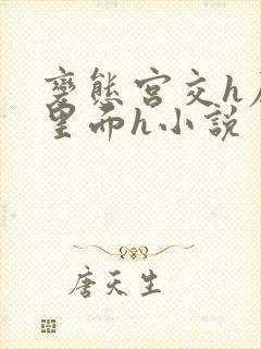 变态宫交h尿在里面h小说封面