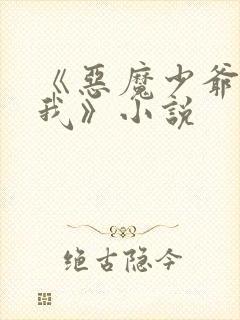 《恶魔少爷爱上我》小说封面