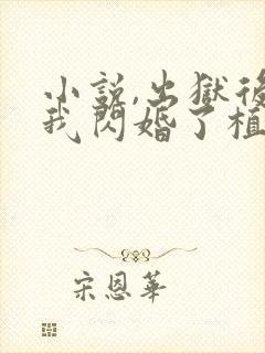 小说,出狱后,我闪婚了植物人大佬封面