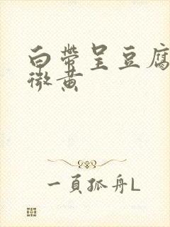 白带呈豆腐渣状微黄封面