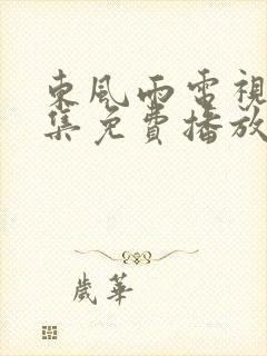 东风雨电视剧全集免费播放封面