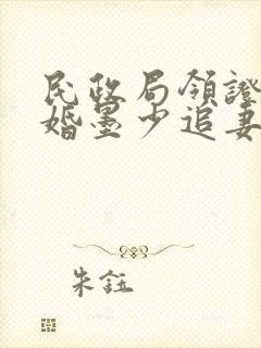 民政局领证,闪婚墨少追妻忙全文版