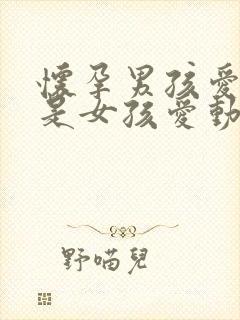 怀孕男孩爱动还是女孩爱动