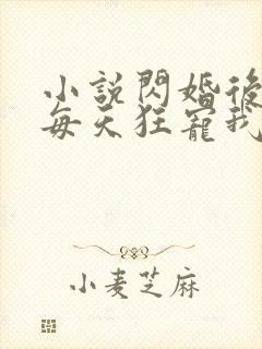 小说闪婚后大叔每天狂宠我全文阅读