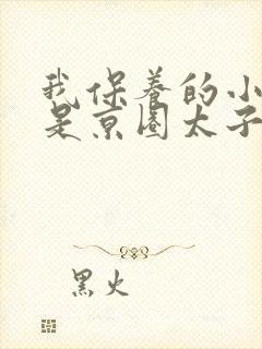 我保养的小白脸是京圈太子爷小说