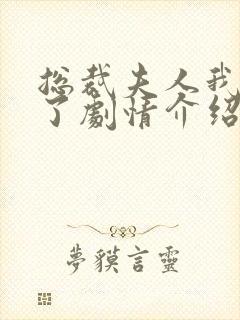 总裁夫人我当腻了剧情介绍封面