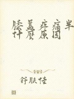 膝盖疼痛半月是什么原因