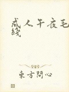 成人午夜毛片在线