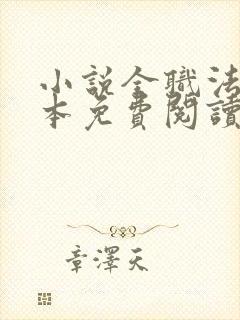 小说全职法师完本免费阅读封面