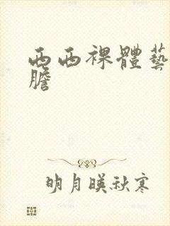 西西裸体艺术大胆