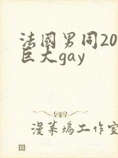 法国男同20超巨大gay封面