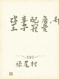 碍事配角,却被王子宠爱封面