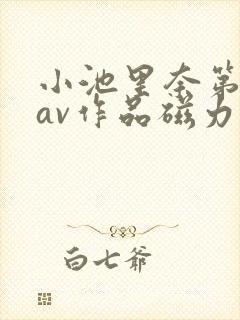 小池里奈第一部av作品磁力