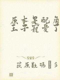 原本是配角却被王子宠爱了