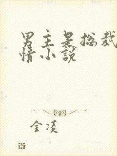 男主是总裁的言情小说