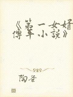 《第一女婿李艳傅平小说》