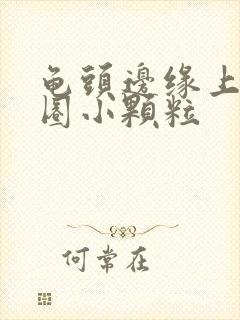 龟头边缘上长一圈小颗粒封面